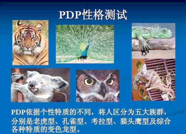 pdp test